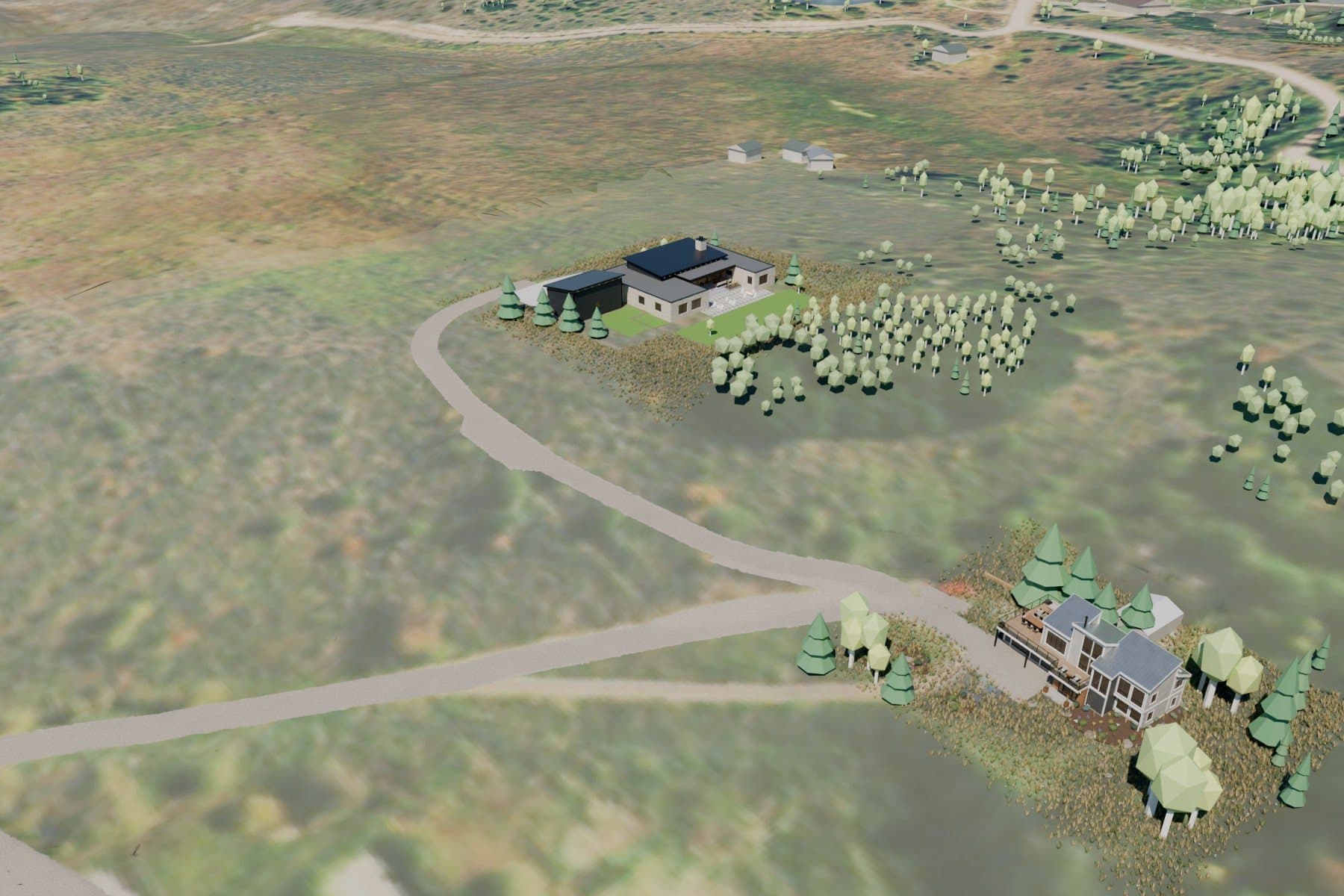 Aerial of the 3D world: the existing house, the new driveway climbing in one gentle curve to the new home, trees and neighbors